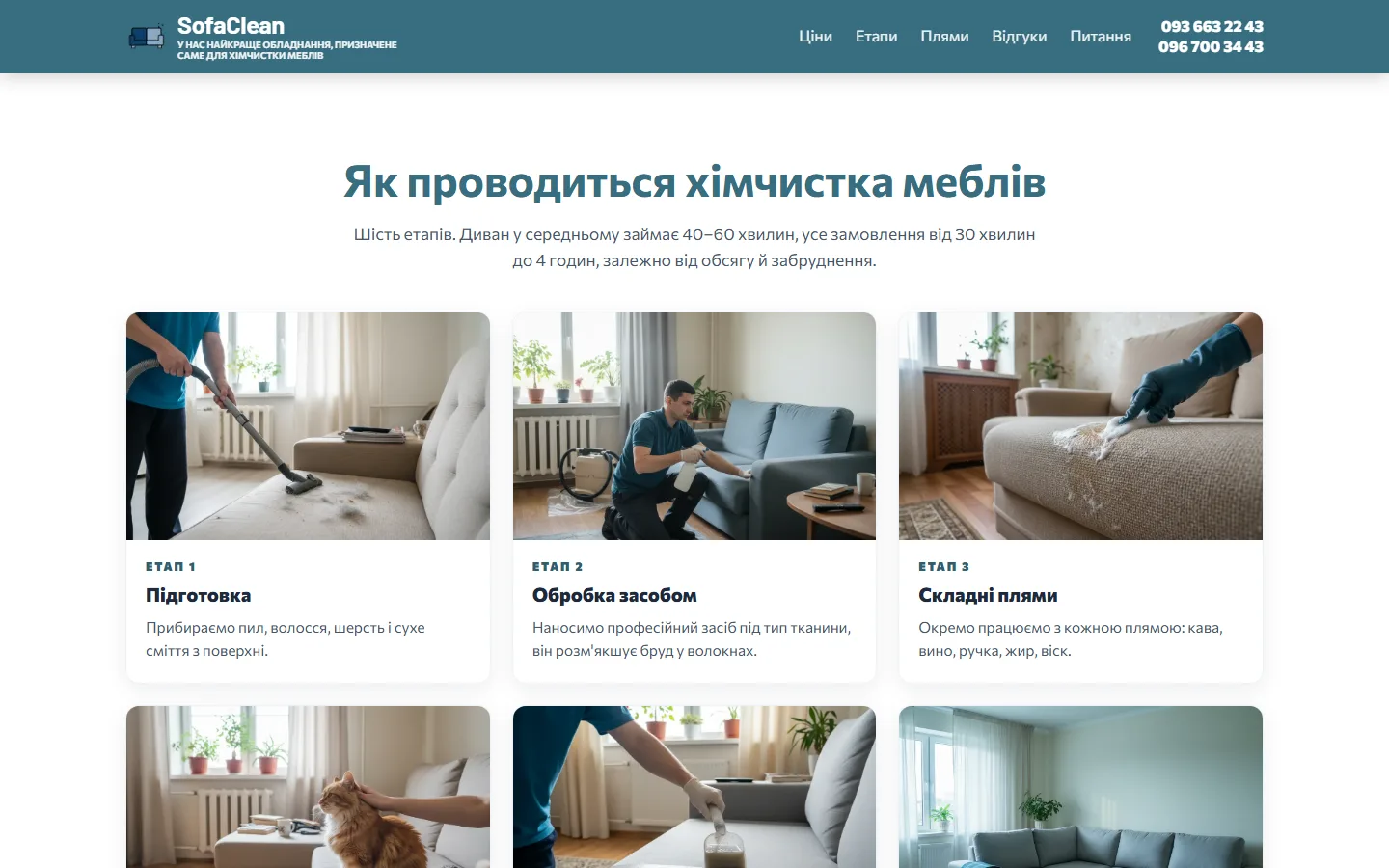 Як проходить чистка